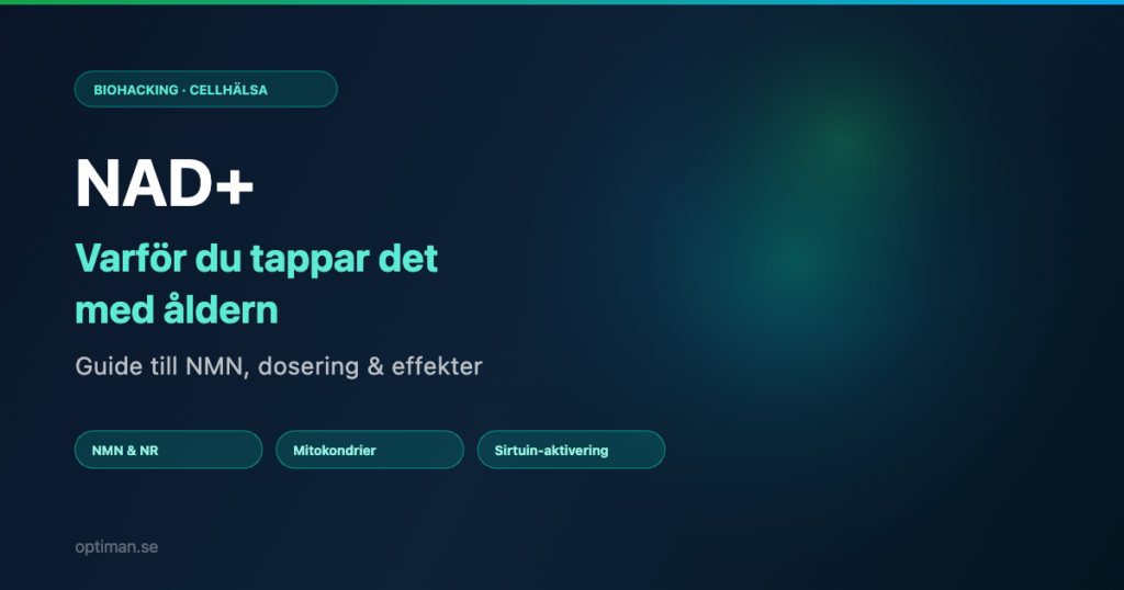 NAD Plus guide – varför du tappar det med åldern